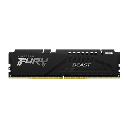 Kingston Fury Beast DDR5 (6000mhz)