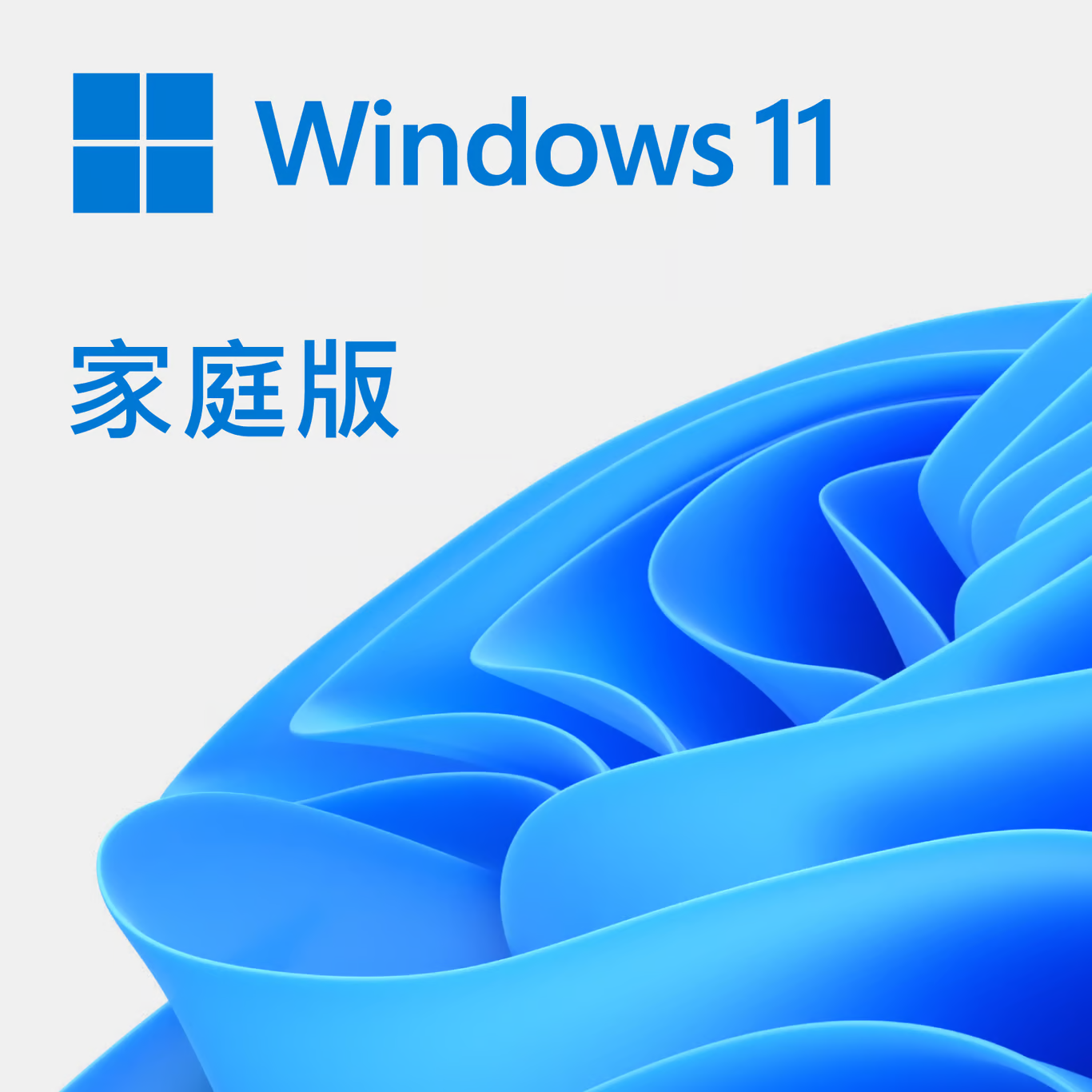 Microsoft Windows 11 Home 64 Bit OEM